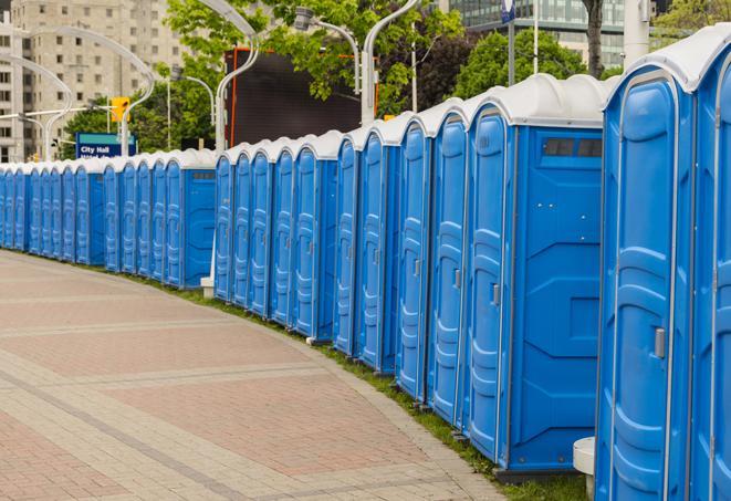 Seasonal porta potty units set up at a Rockford, Illinois venue